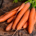 Carrot