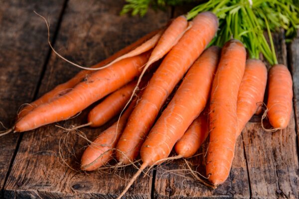 Carrot