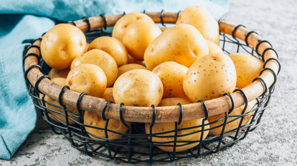 potato